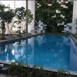 Sbf Center (D1), Office #504447061